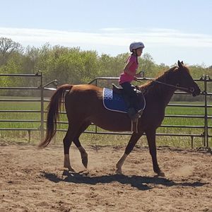 Meet your Posher, Melissa